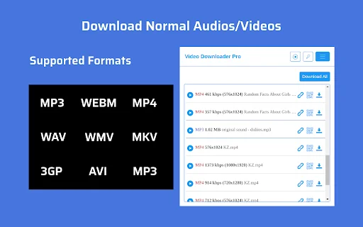 Video Downloader Pro: Pinakamabilis na Video Downloader para sa Lahat - Screenshot 2